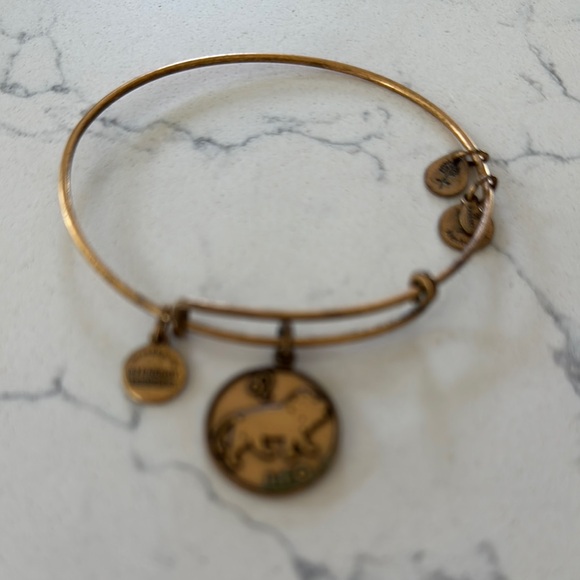 Alex and Ani Gold Leo Charm Bracelet - Picture 2 of 2